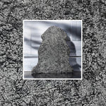 Dark-Grey Curly Sheepskin Rugs: Premium Quality Sheepskin Rugs for any Room (60cm x 90cm)