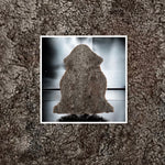 Sahara Curly Sheepskin Rugs: Premium Quality Sheepskin Rugs for any Room (60cm x 90cm)