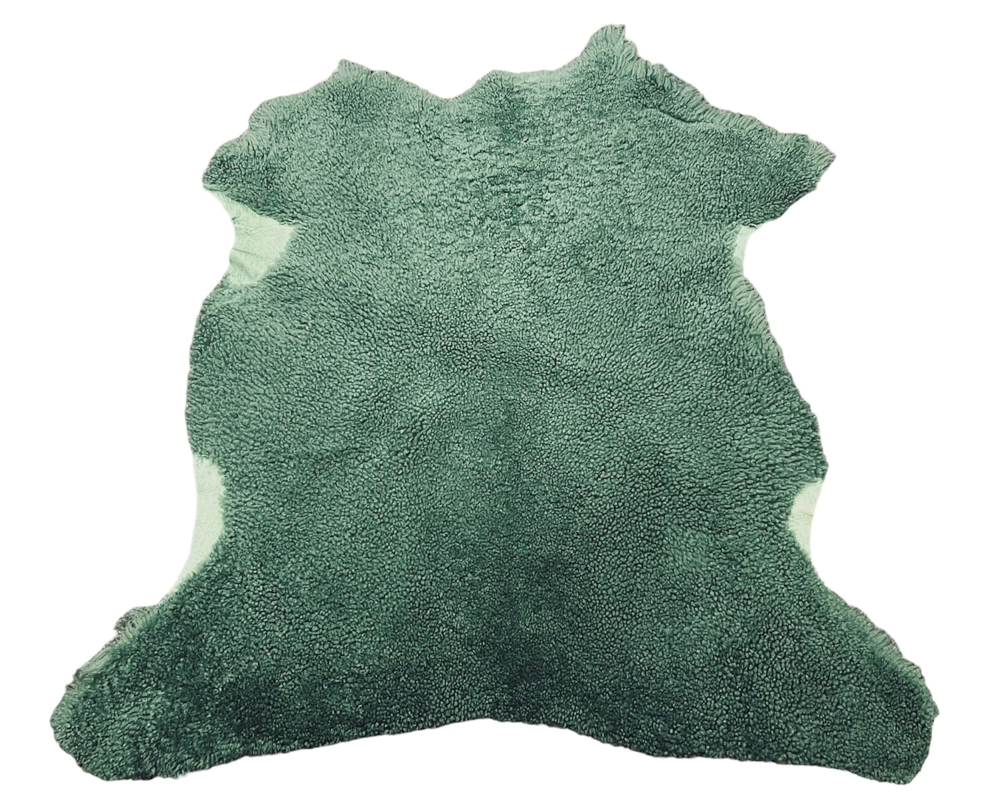 Green Merino : 16mm 6 Piece Curly Wool Shearling Bundle (Ref-gh.eol)