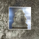 Mushroom Sheepskin Rugs: Premium Quality Sheepskin Rugs for any Room (65cm x 95cm)