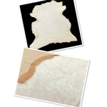 Shaved Toscana Pearl : 19 Piece Straight Wool Shearling Bundle (Ref-gh.eol)