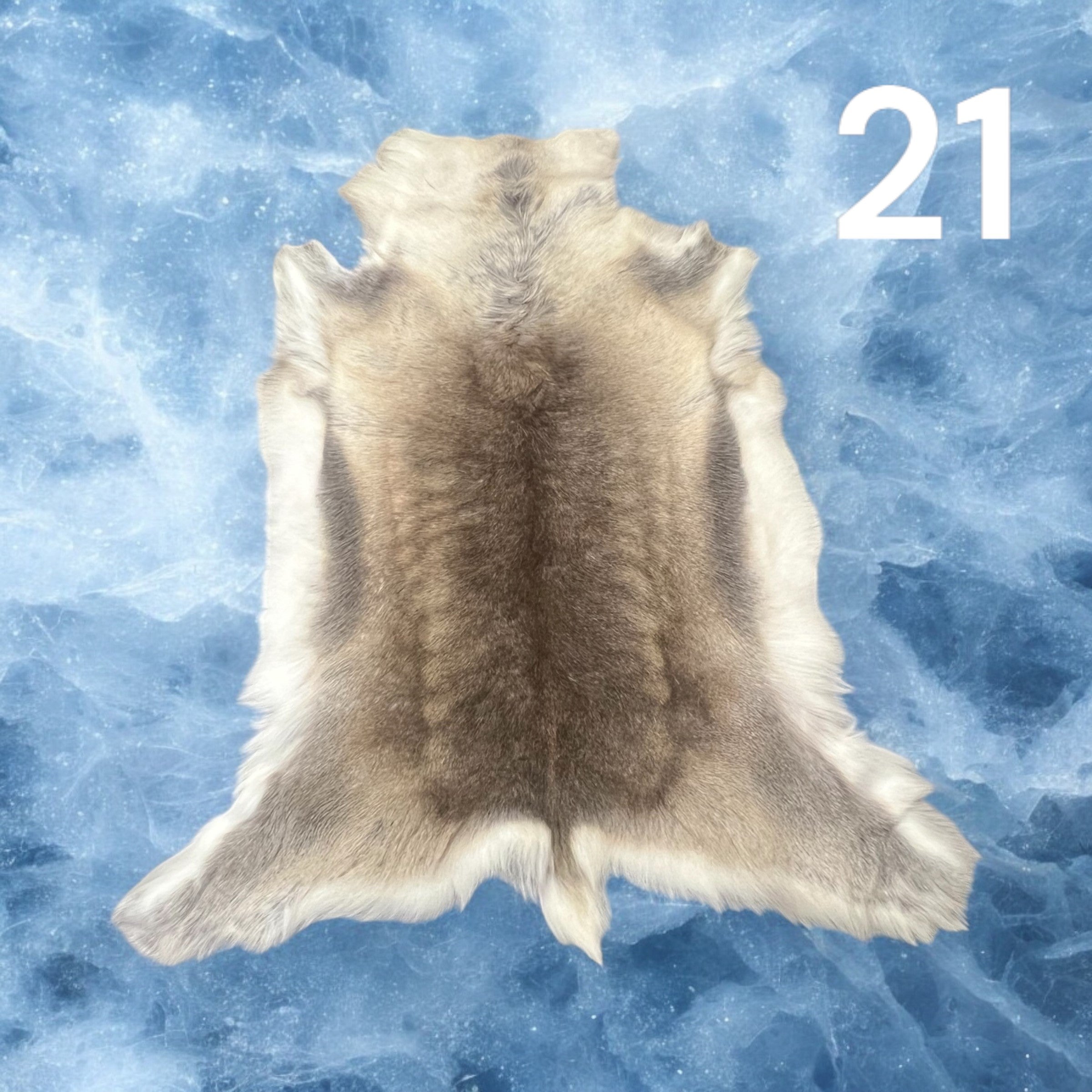 Natural Reindeer Hide (21)