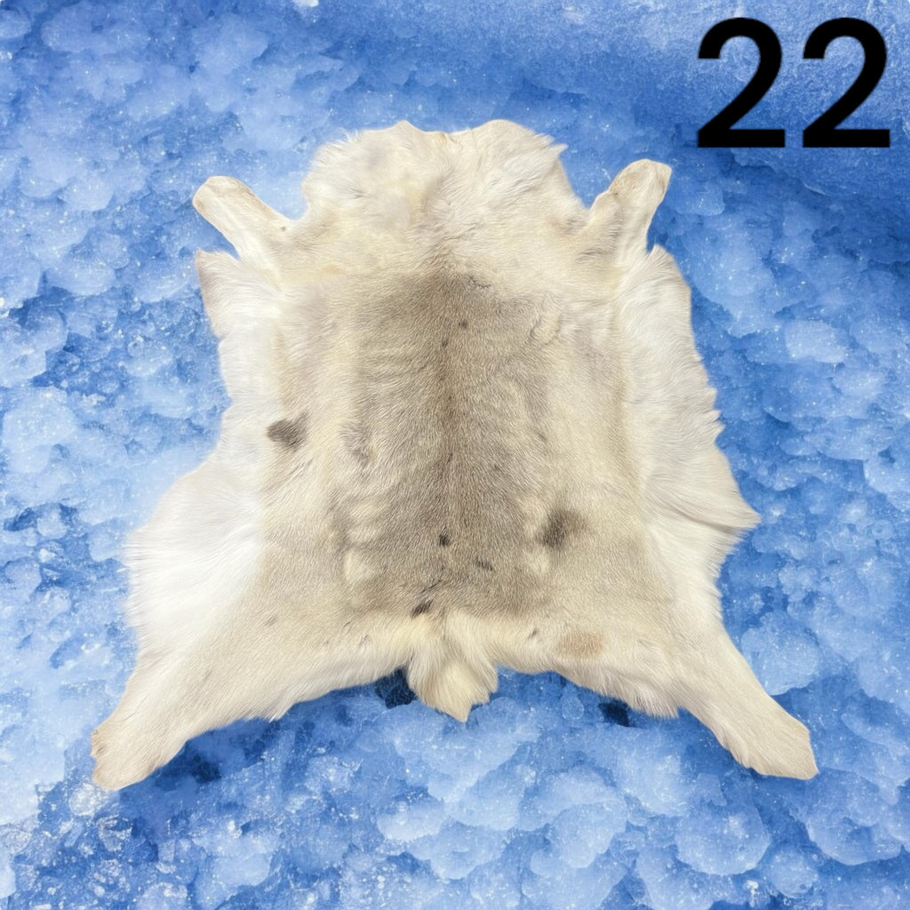 Natural Reindeer Hide (22)