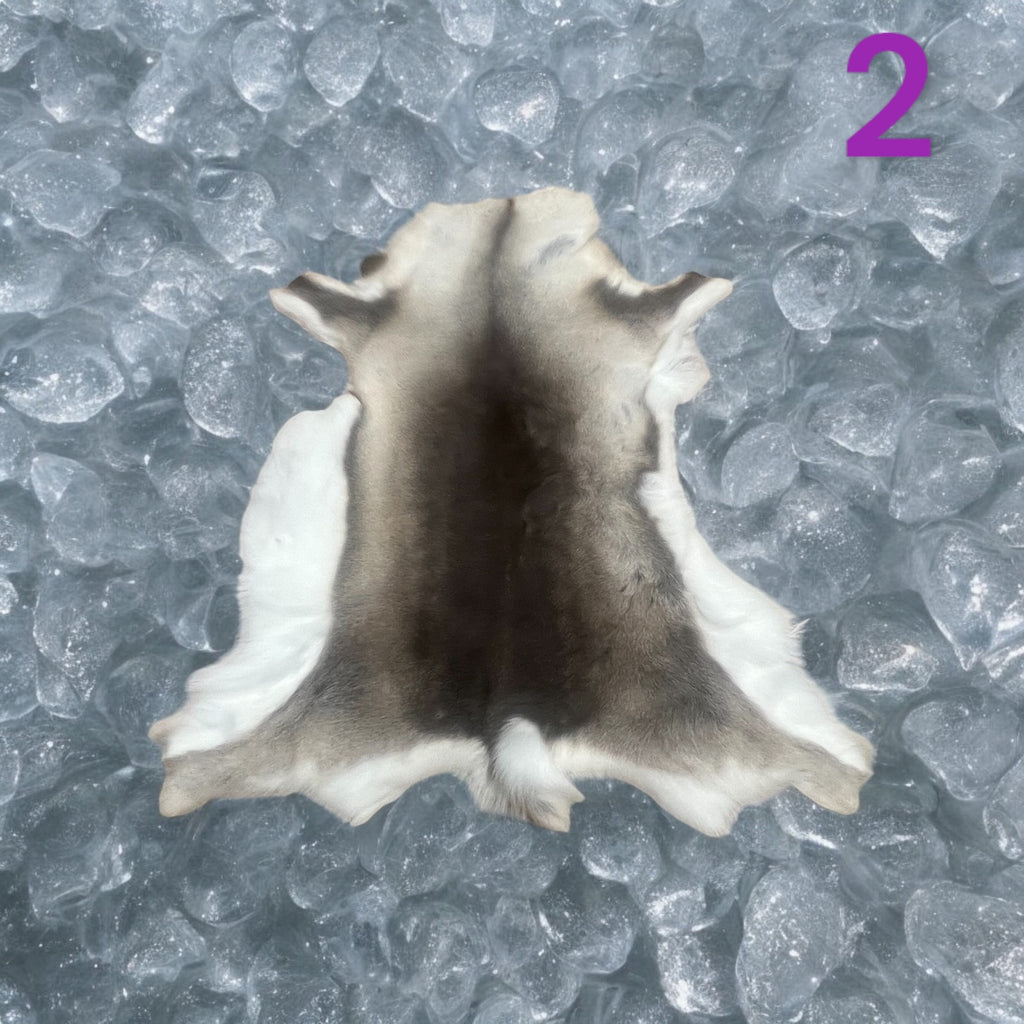 Natural Reindeer Hide (2)