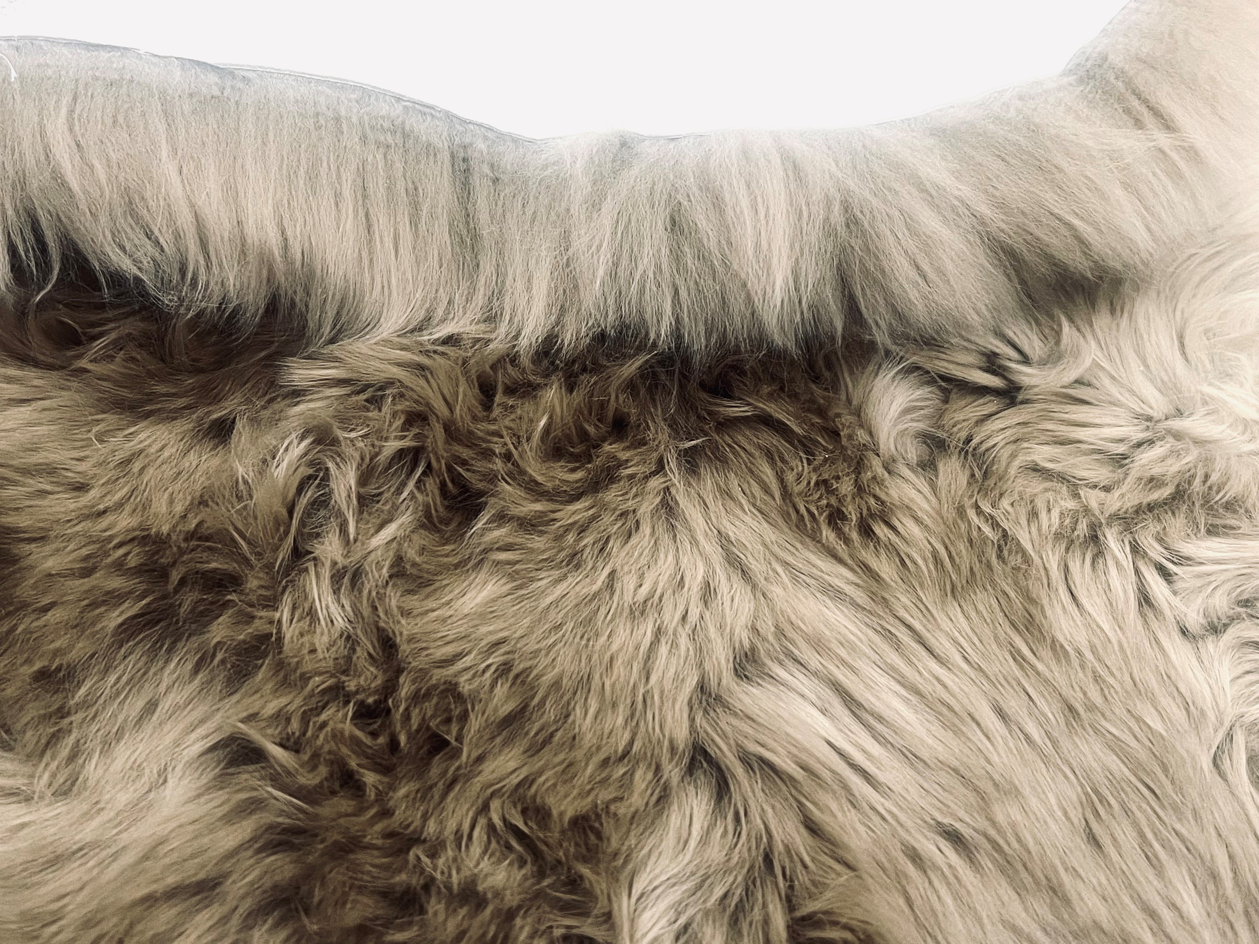 Taupe Sheepskin Rugs: Premium Quality Sheepskin Rugs for any Room (65cm x 95cm)