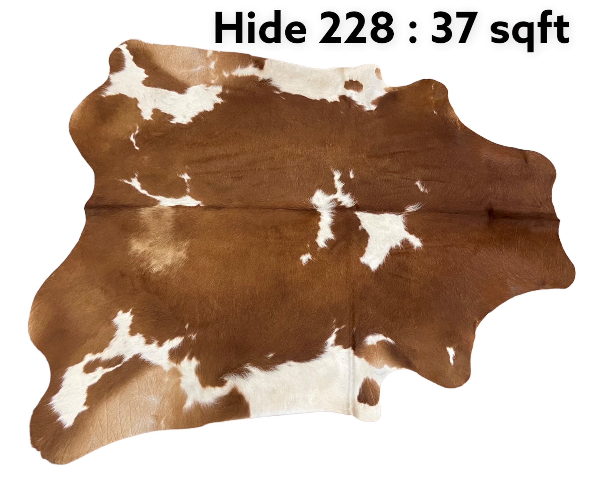 Natural Hair On Cow Hide : This Hide Is Perfect For Wall Hanging, Leather Rugs, Leather Upholstery & Leather Accessories. (Hide228)