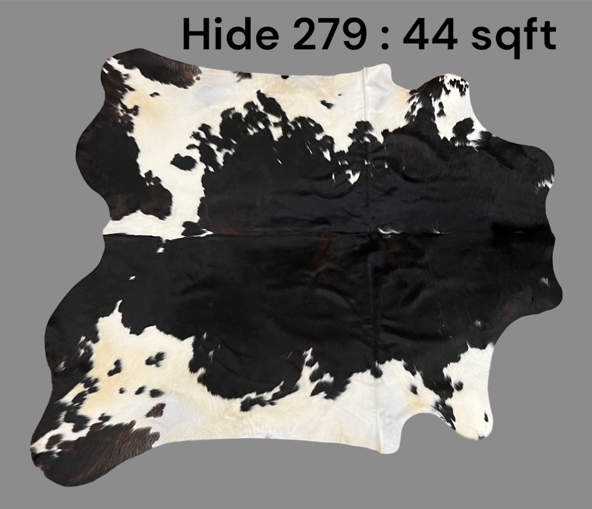 Natural Hair On Cow Hide : This Hide Is Perfect For Wall Hanging, Leather Rugs, Leather Upholstery & Leather Accessories. (Hide279)