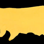 Daytona Yellow : Smooth Grain Cow Side  (0.9-1.1mm 2.5oz) 20