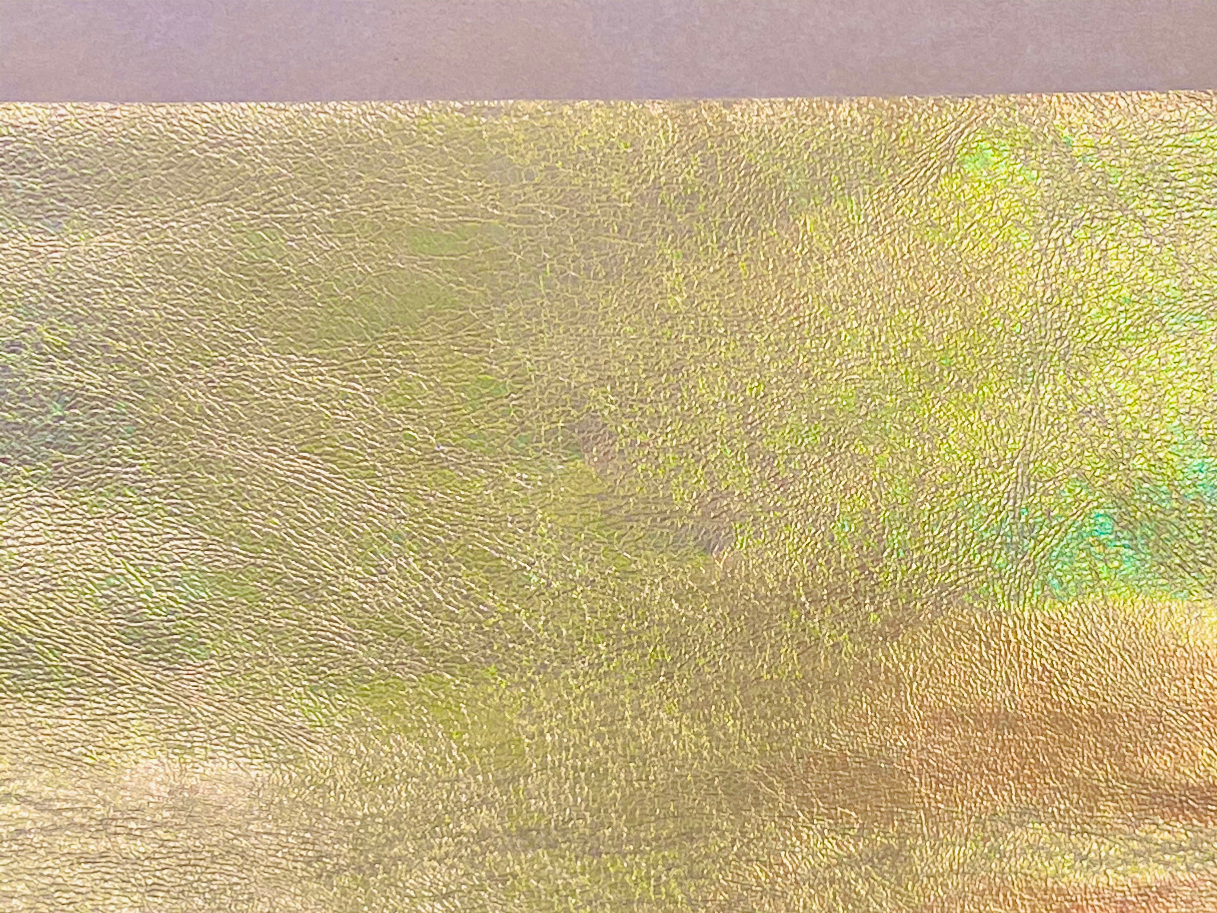 Gold Distressed, Metallic Foiled Leather Pig Skin : (0.6-0.7mm 1.5