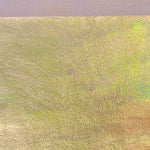 Rainbow Gold, Iridescent Metallic Foiled Leather Pig Skin : (0.6-0.7mm 1.5oz) 15