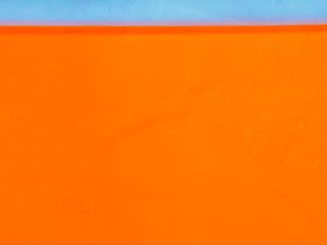 Neon Pumpkin Orange, Fluorescent Leather Lambskin : Italian Lamb Nappa (0.7-0.8mm 2oz) 9 Discontinued