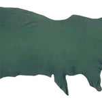 Nassau Verde, Full Grain Leather Cow Side : (0.9-1.1mm 2.5oz) 23